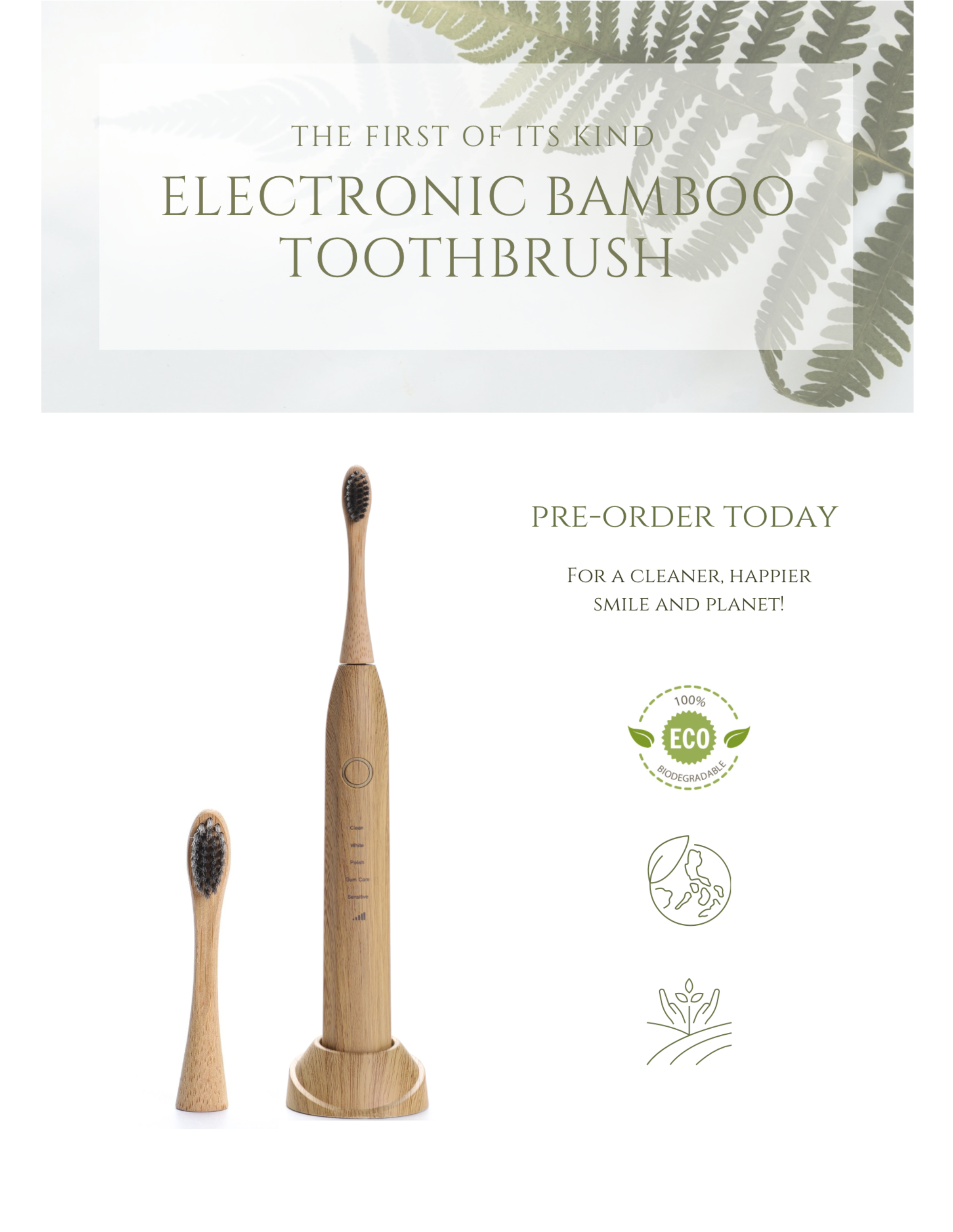 Electric Bamboo Toothbrush