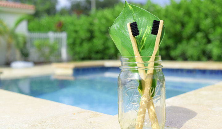 Plastic is Forever - Briut Essentials