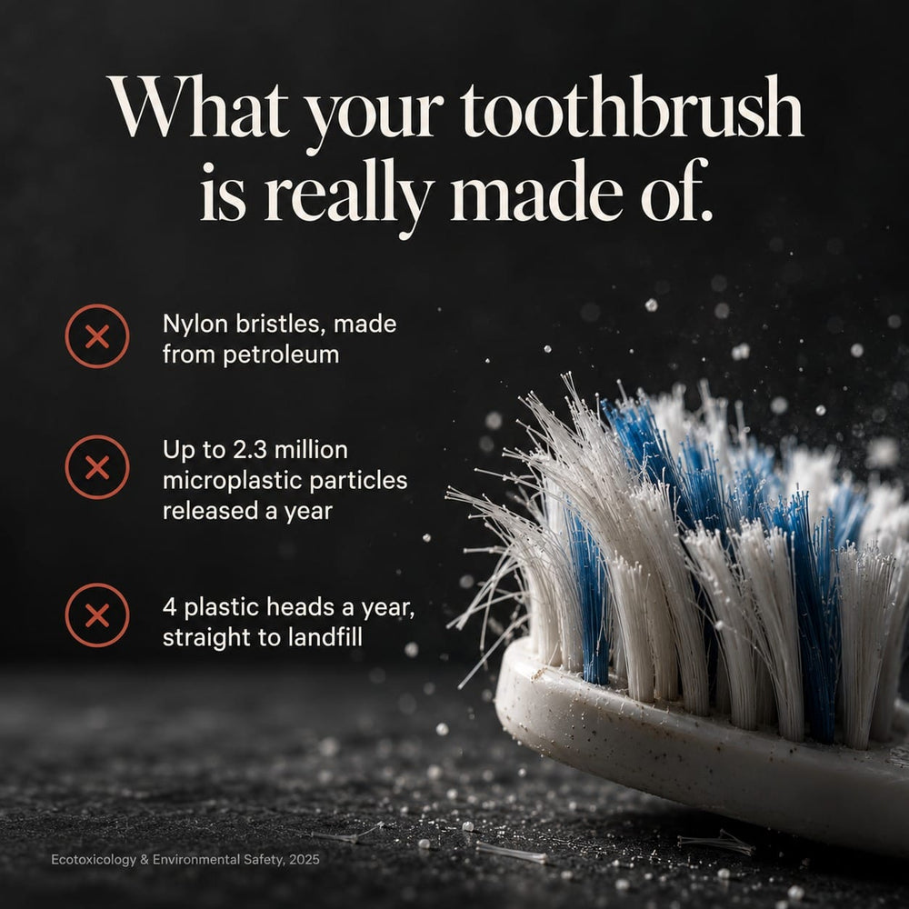 Bamboo Sonic Electric Toothbrush