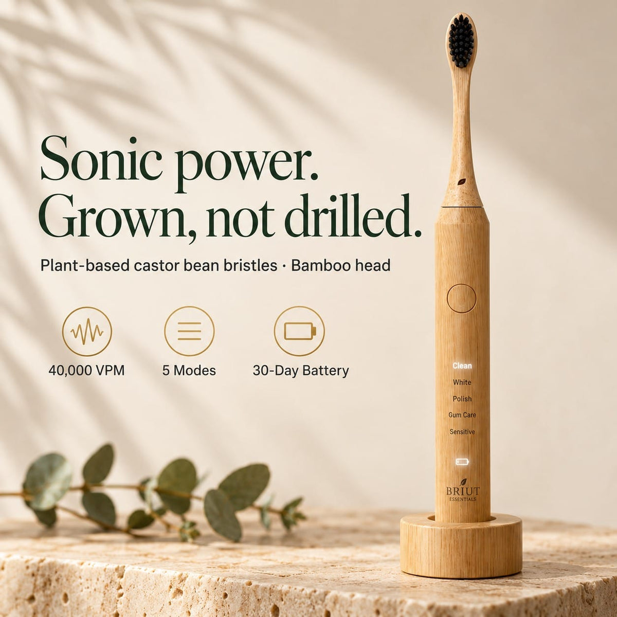 Bamboo Sonic Electric Toothbrush