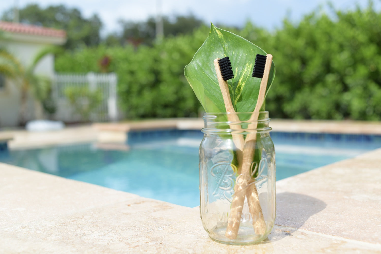 Bamboo Toothbrush