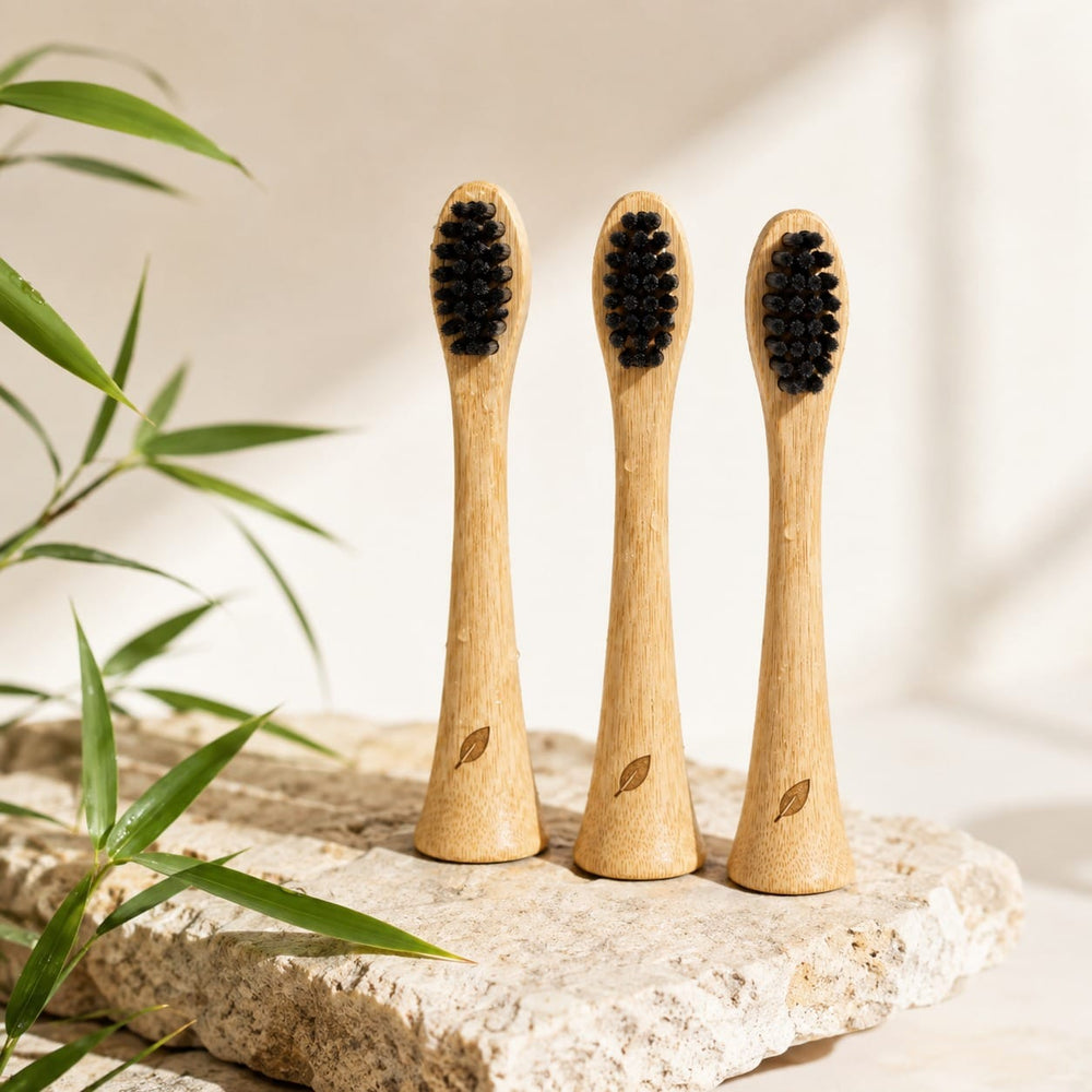 Natural Horsehair Replacement Heads (3-Pack)