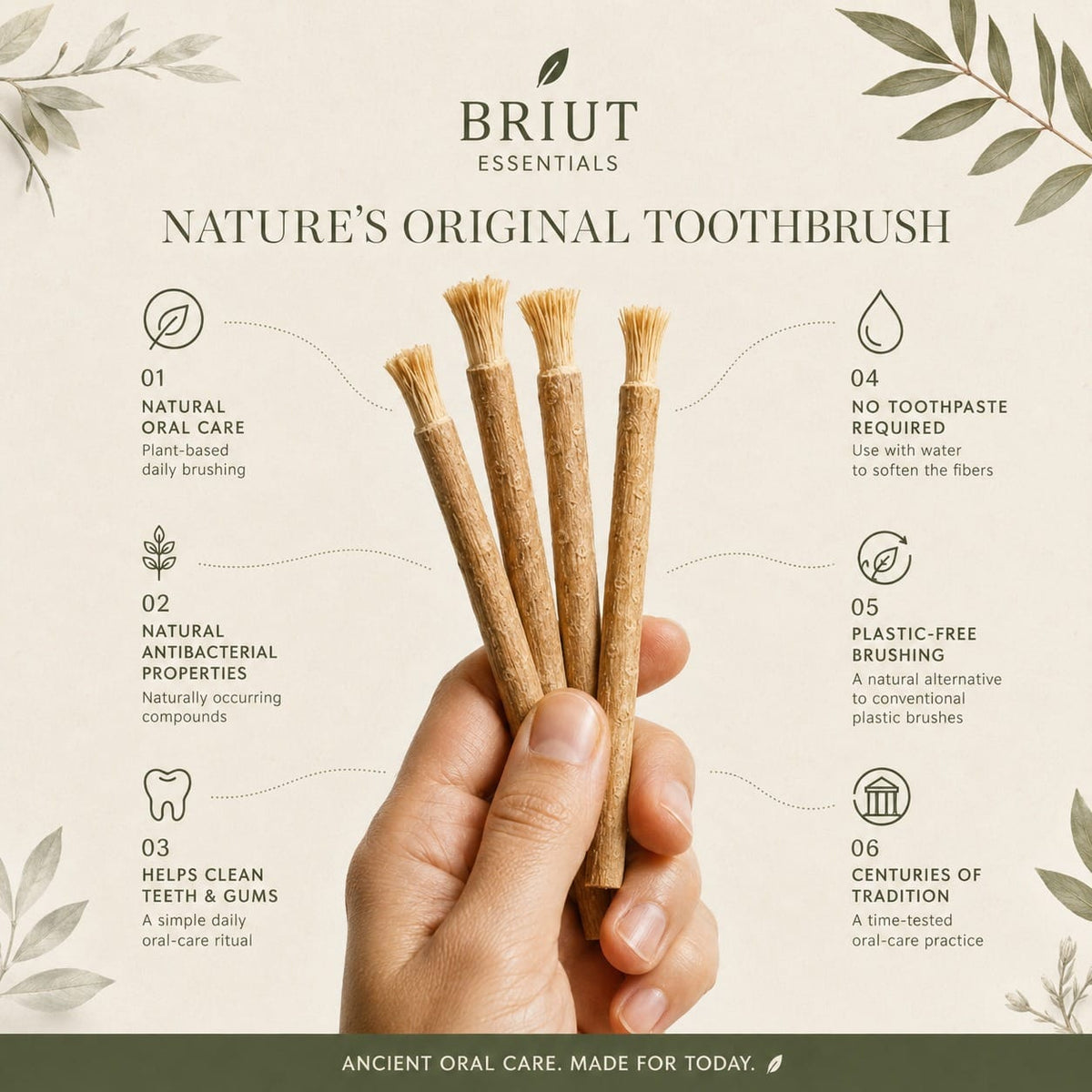 Briut Pure Miswak - 6 pack