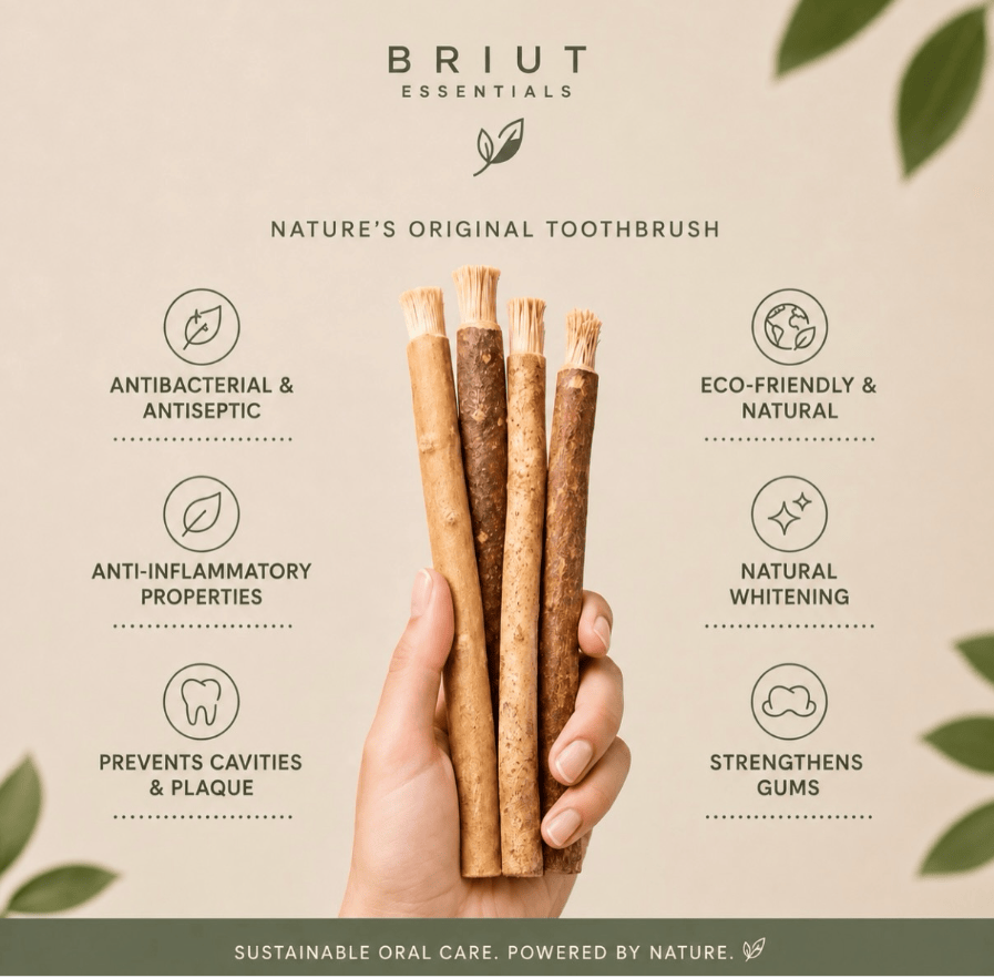 Briut Pure Miswak - 6 pack