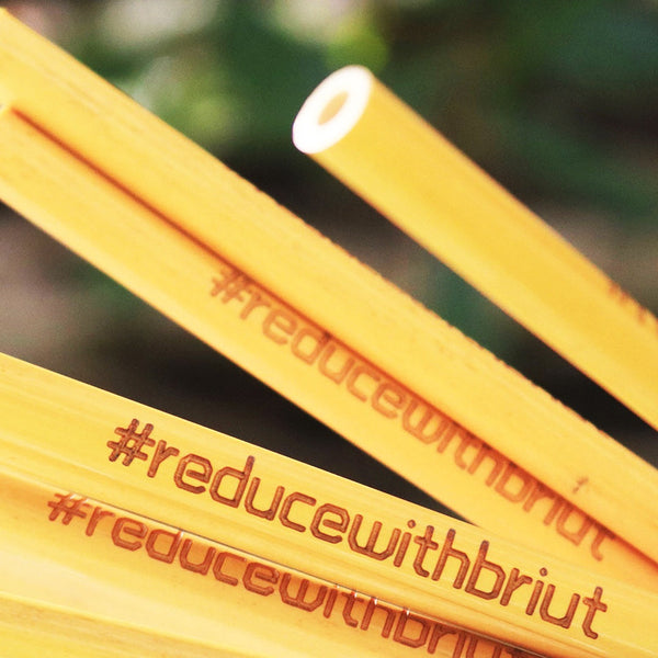 Eco-Friendly Bamboo Straws