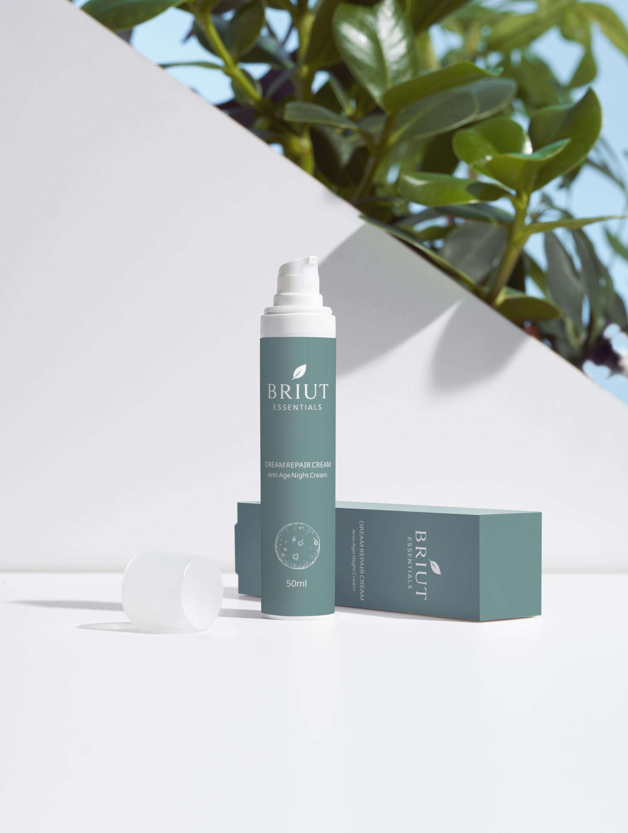 Anti-Age Night Cream