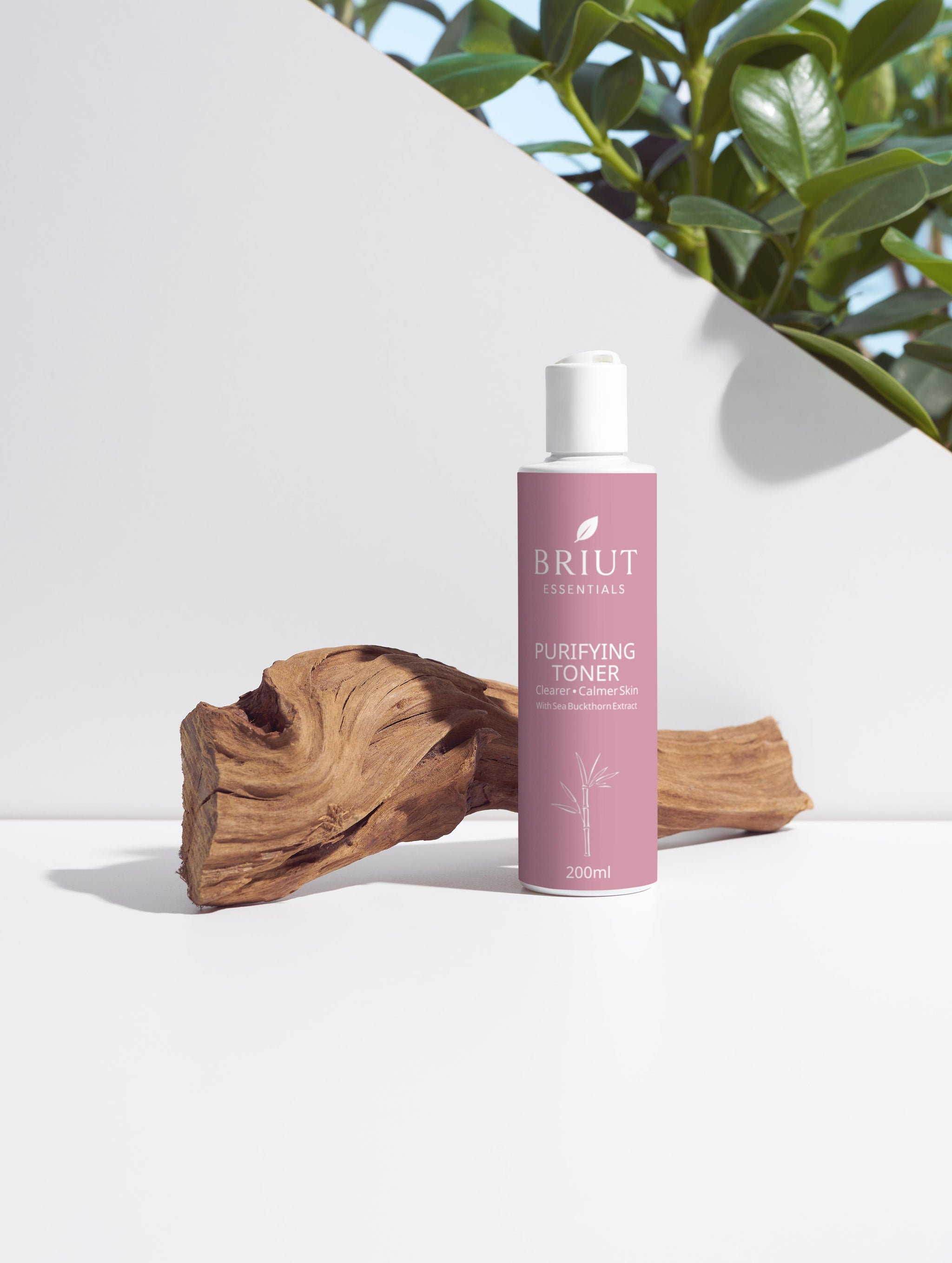 Purifying Toner