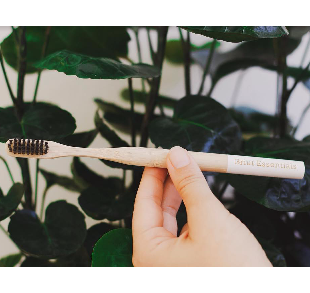 Bamboo Toothbrush (Yang)