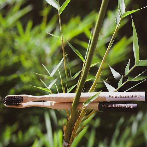 Bamboo Toothbrushes (Yin & Yang)